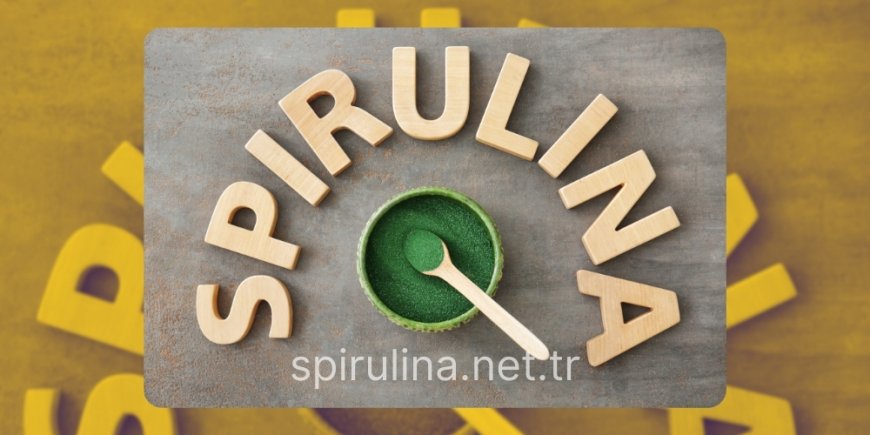 Doğanın Mucizevi Süper Gıdası Spirulina Tozu